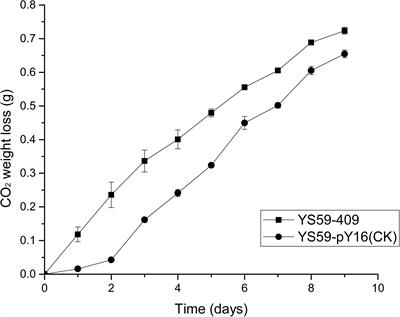 Creation of a Low-Alcohol-Production Yeast by a Mutated SPT15 Transcription Regulator Triggers Transcriptional and Metabolic Changes During Wine Fermentation